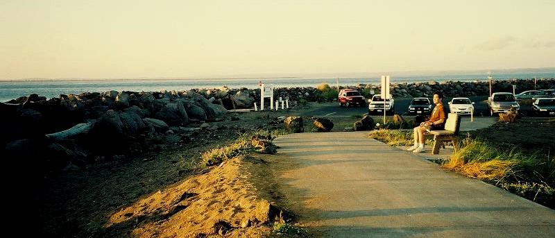 Westport, WA: The Beach in Westport