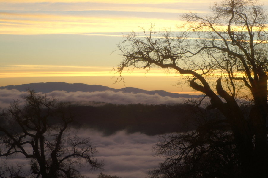 Tehachapi, CA: Fog rolling into Bear Valley at sunset