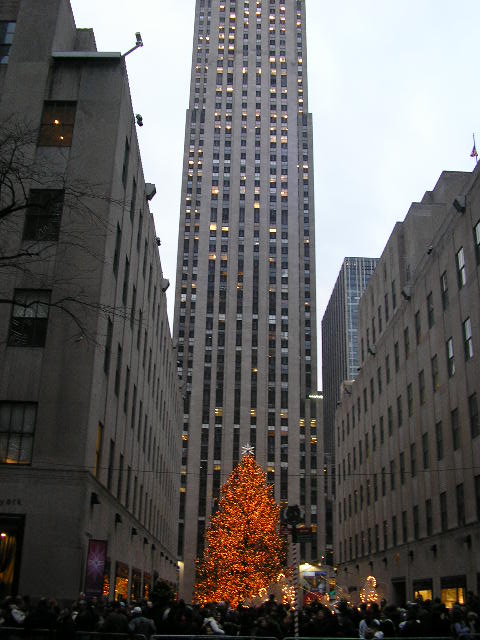 New York, NY: christmas tree at the rockfeller center