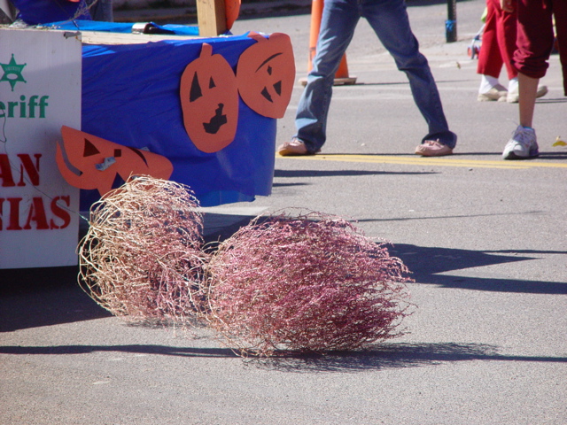 Estancia, NM: Tumbleweeds at the Halloween Parade