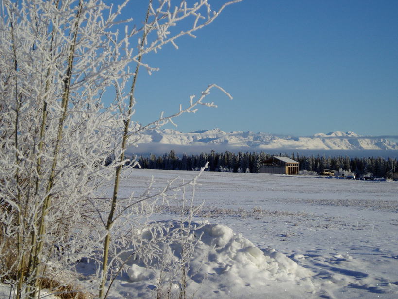 Kenny Lake, AK: January Frost