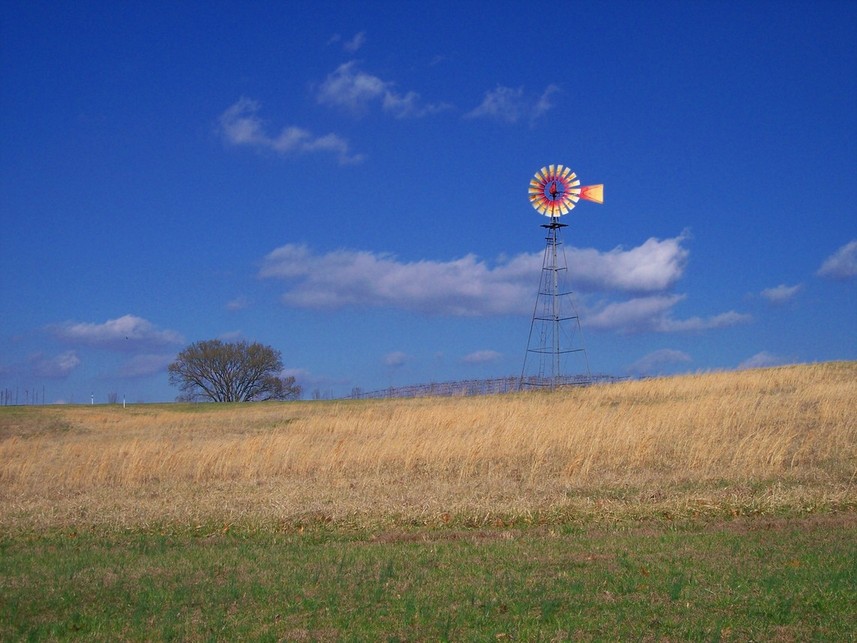 Makanda, IL: MAKANDA IL- BLUE SKY VINEYARD- LOOK AT THE BLUE SKY!