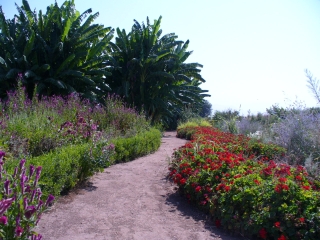 Woodlake, CA: Botanical Gardens