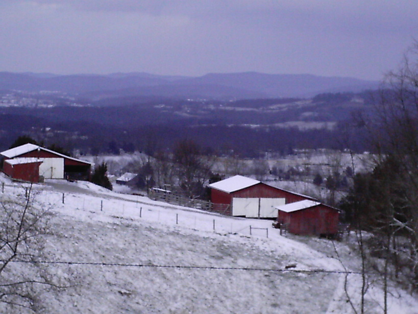 Byrdstown, TN: hill side in Byrdstown during snow in 07