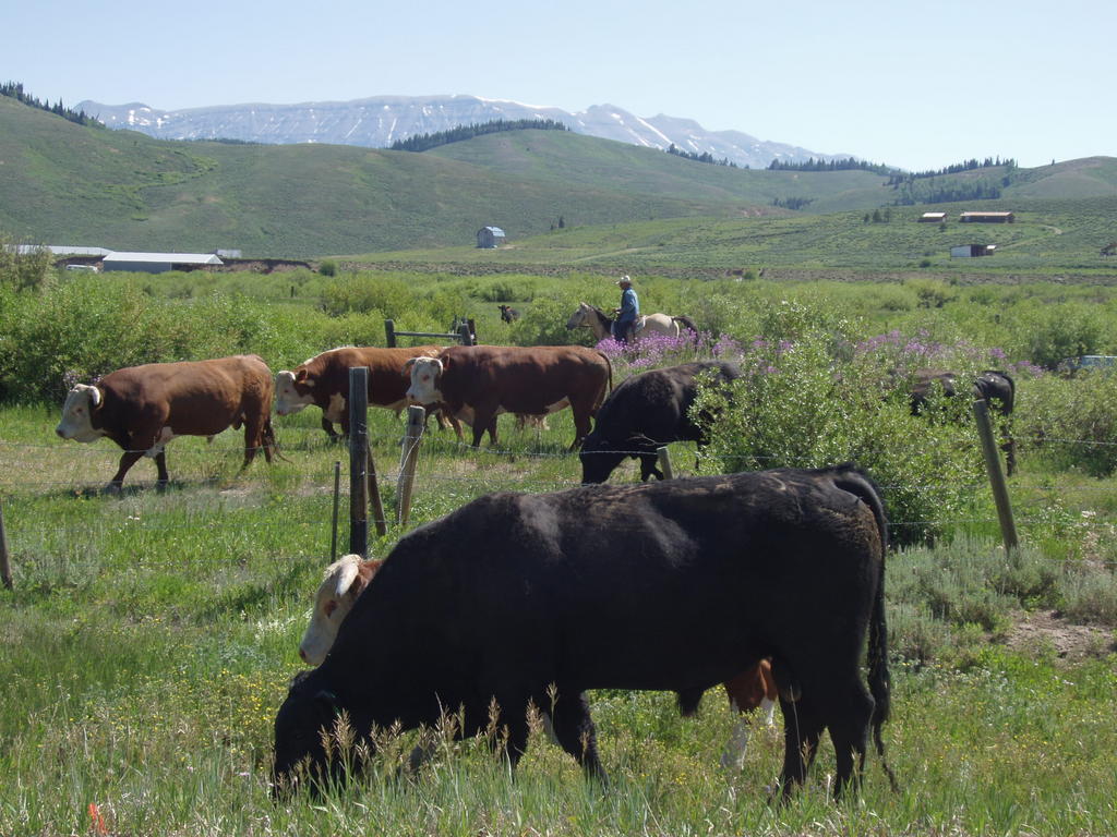 Pinedale, WY: Ranching in Sublette County