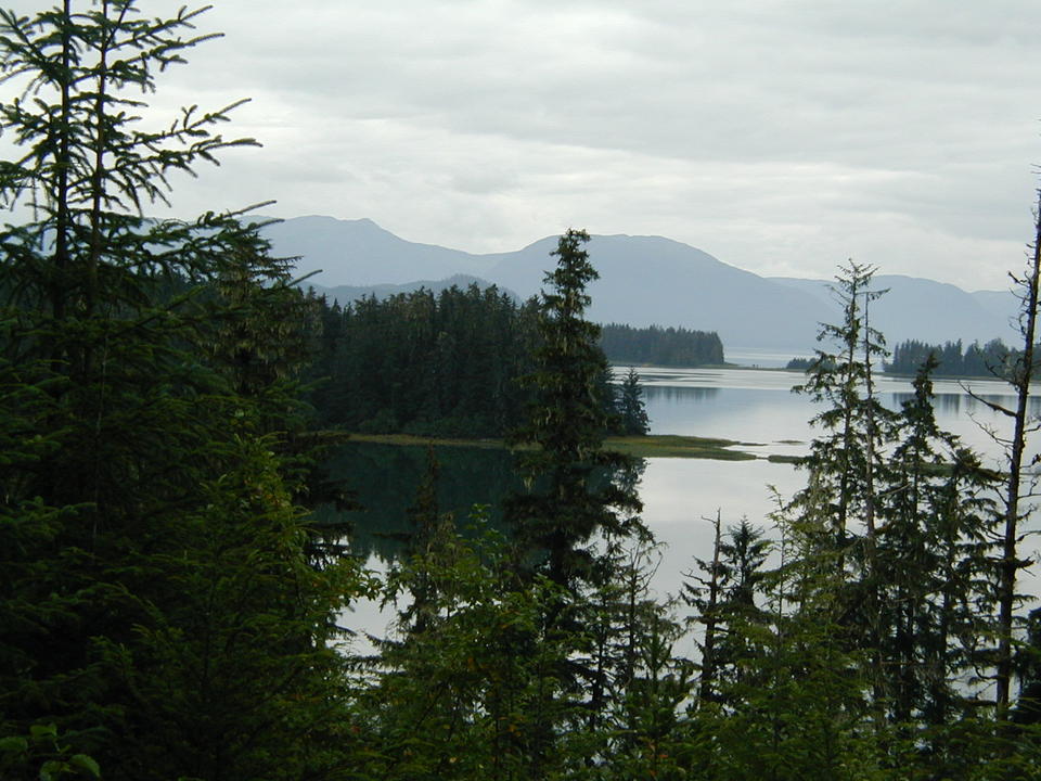 Petersburg, AK: "out the road" on Mitkof island