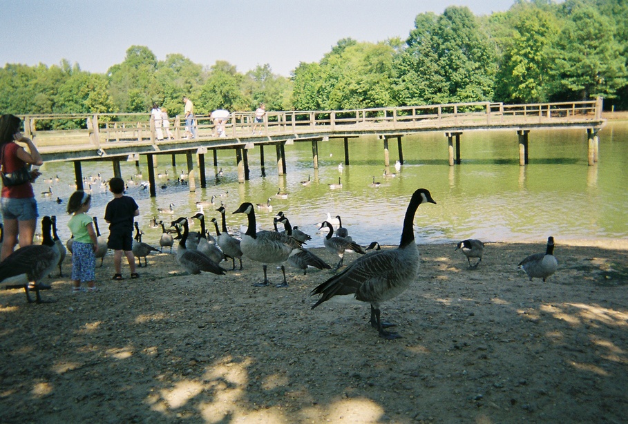 Olive Branch, MS: City Park