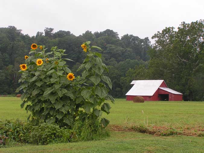 Paragon, IN Paragon Road photo, picture, image (Indiana) at