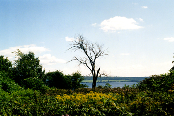 Peru, NY: Burton Island on St. Albans Bay