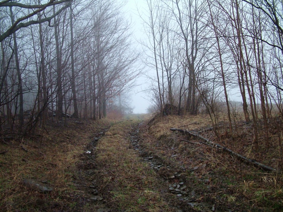 Cincinnatus, NY: beautiful pictures of trail in Cincinnatus, NY there is a dear in the distance
