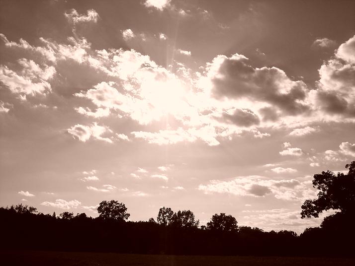 Goreville, IL: Ferne Clyffe State Park in Goreville, Il