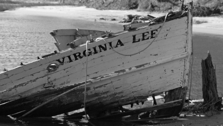 Dagsboro, DE Virginia Lee photo, picture, image (Delaware) at city