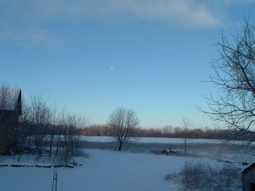 Byron, NY: full moon setting over our back field at dawn. january 2004