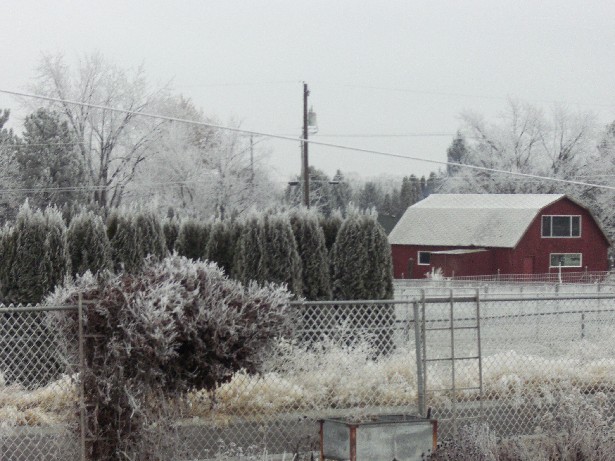 Kennewick, WA: Kennewick in winter-time