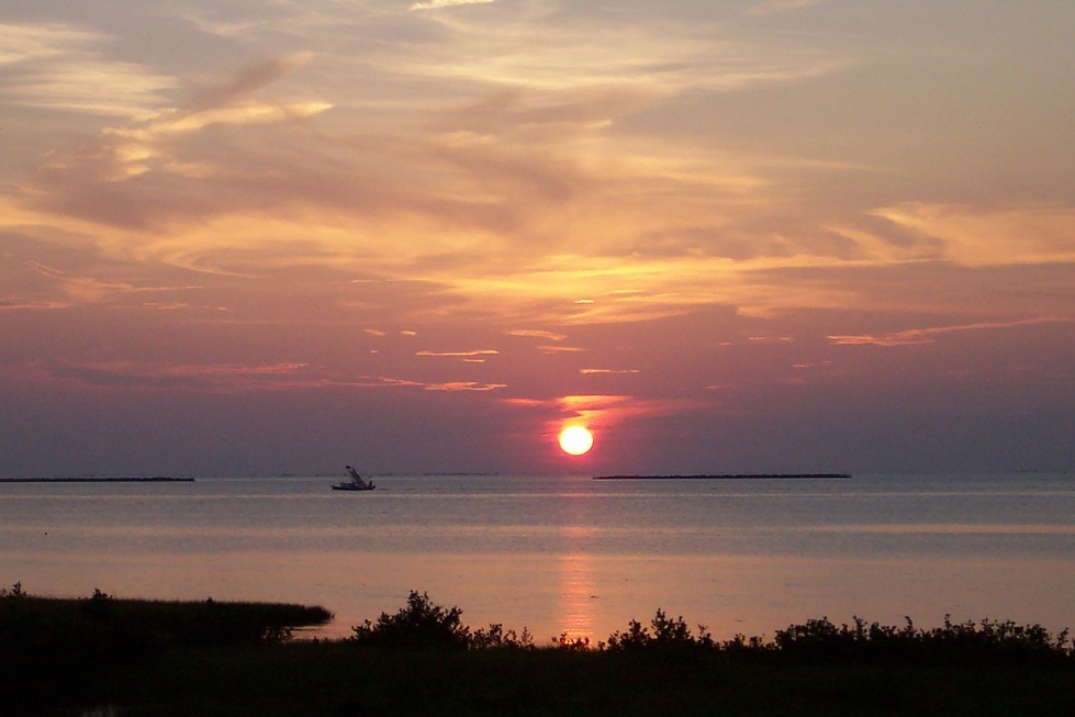 Grand Isle, LA: Sunset Shrimper