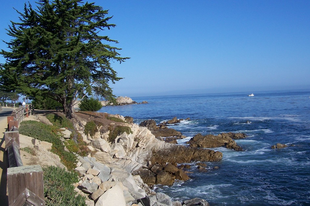 Pacific Grove, CA: View from walking trail