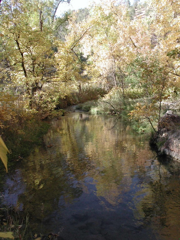Hot Springs, SD: Fall River in Hot Brook Canyon