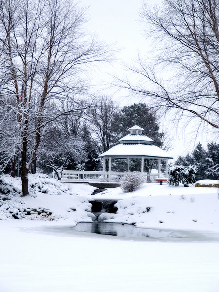 Topeka, KS: Ensley Garden in winter