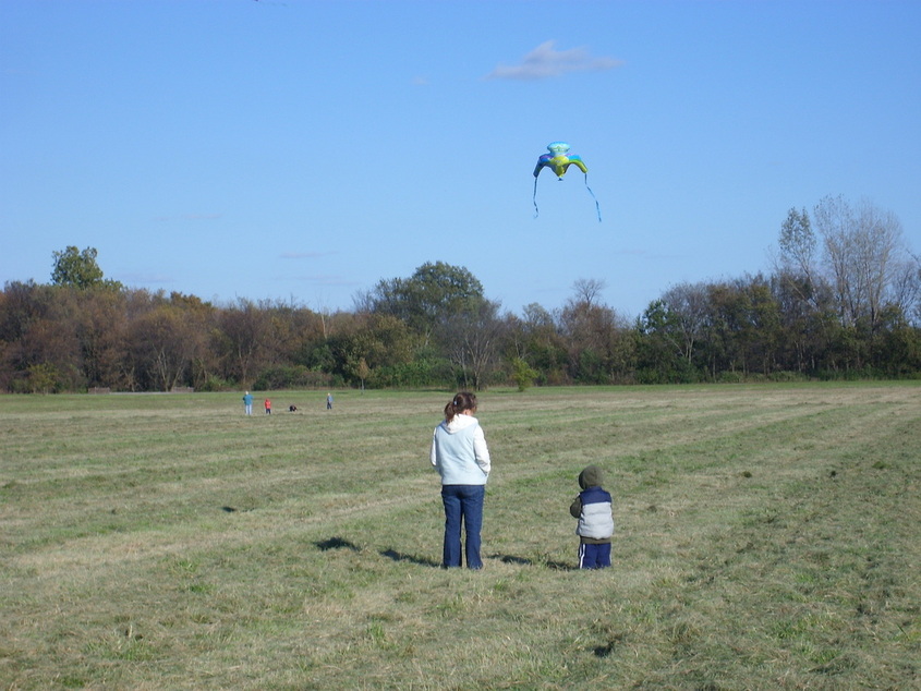 Wayne, IL: Wayne Days fall festival. many children fly kites at this annual event.