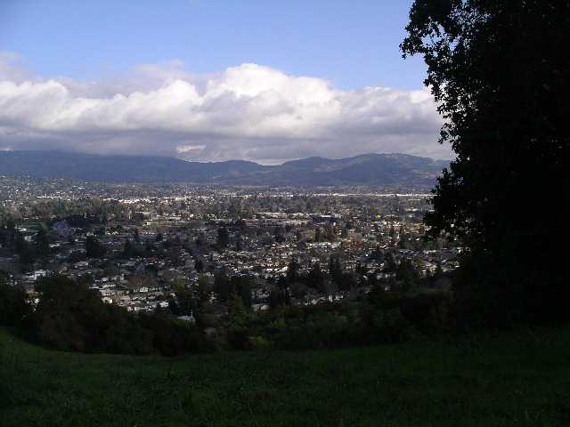Napa, CA: Napa from the west hills