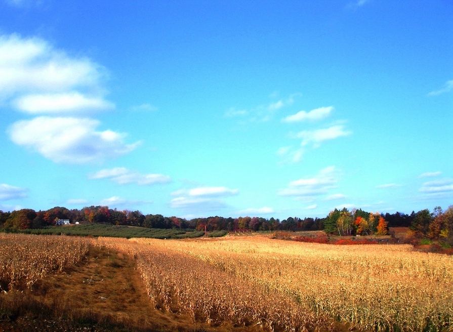 Fitchburg, MA: View from Skyview Estates in Fall