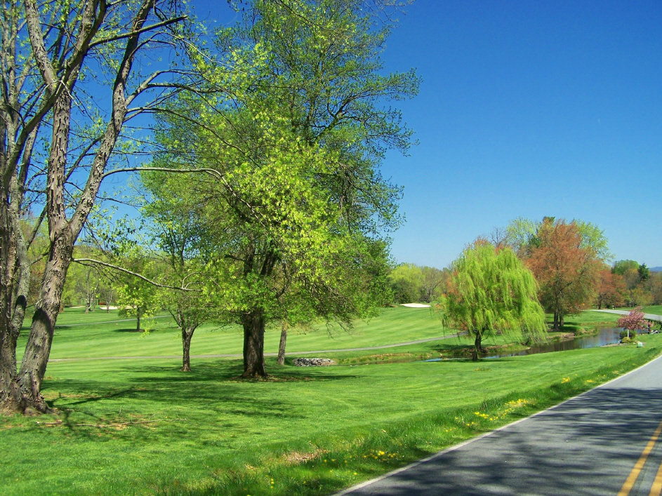 Etowah, NC: Etowah Golf Course