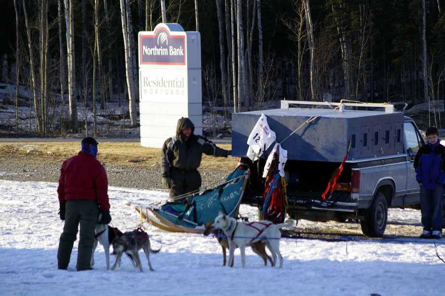 Wasilla, AK: dog team near Northrim Bank