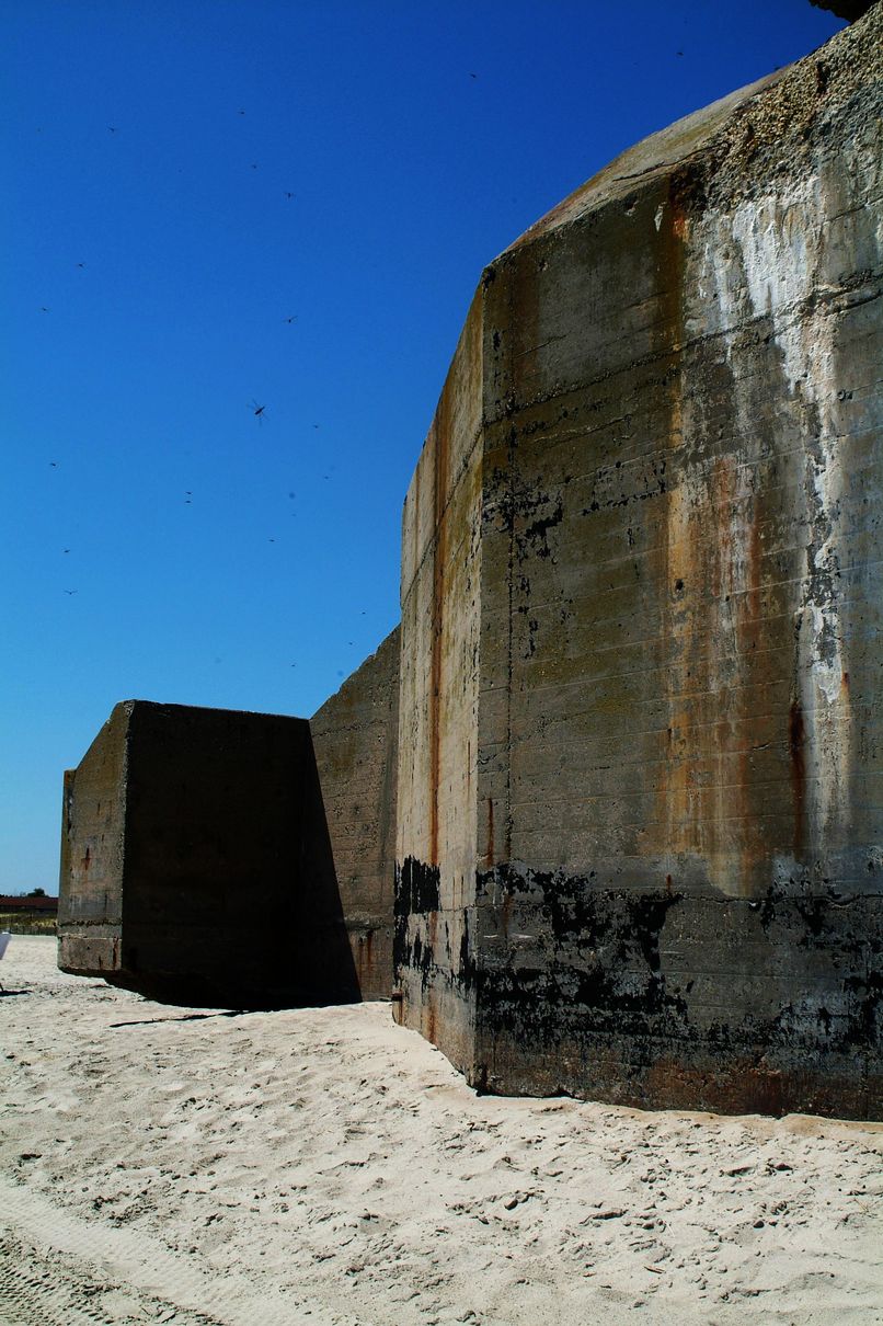 Cape May, NJ: World War II Bunker (surrounded by dragonflies) at Cape May Point Beach