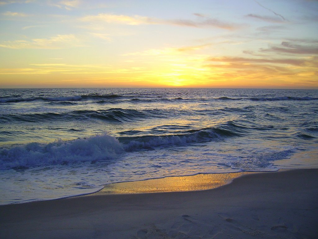 Panama City Beach, FL drowning star photo, picture, image (Florida