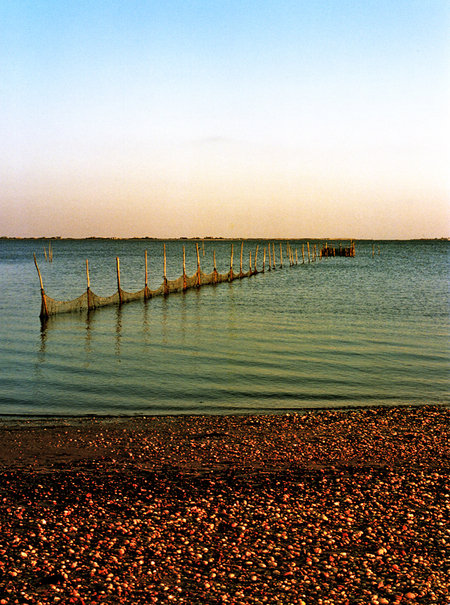 East Hampton, NY: Fishnet. East Hampton.NY