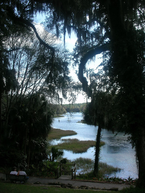 Ocala, FL: State Park river view