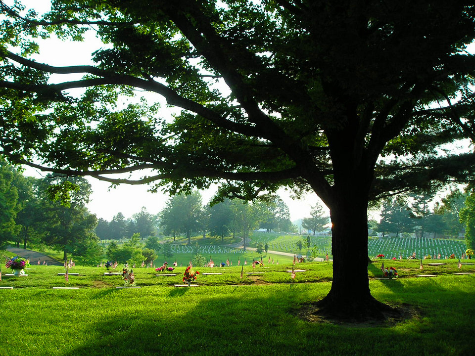 Johnson City, TN: Sunlit graves of the patriotic at the Johnson City Veterans Cemetery,