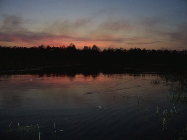 Ocilla, GA: Pond in Ocilla,GA (Irwin County)