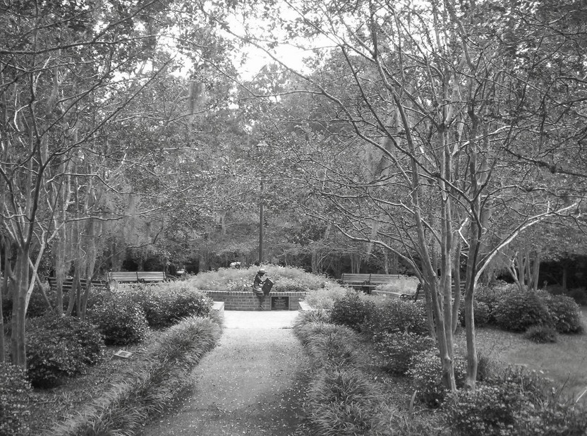 Summerville, SC: Azalea Park in Black & White