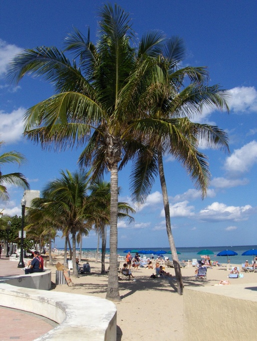 Fort Lauderdale, FL: The Beach Along The A1A