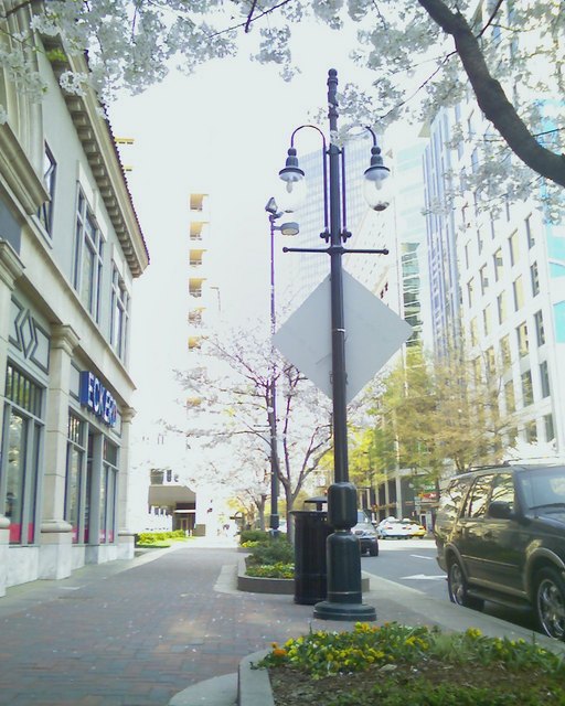 Charlotte, NC: Streetscape outside Latta Arcade during Spring