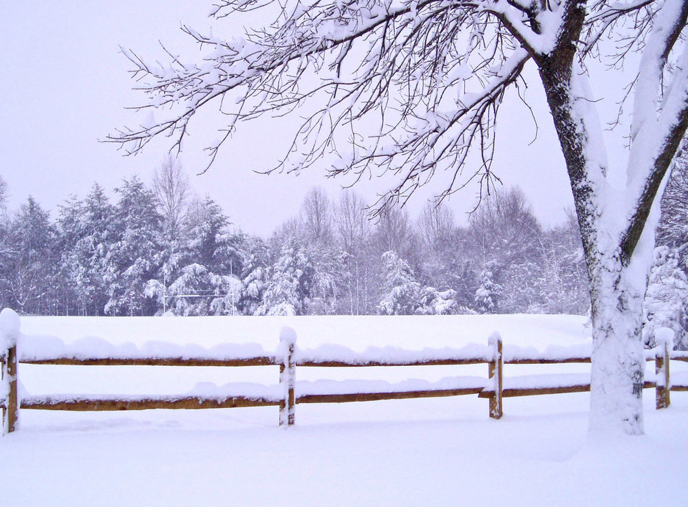 Columbia, MD: Snow in the Park Near King Contrivance Columbia, MD