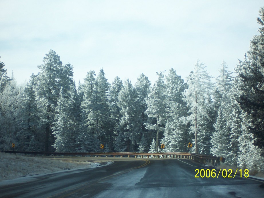 Cedar Crest, NM Cedar Crest photo, picture, image (New Mexico) at