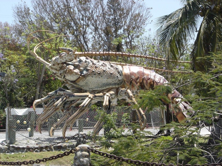 Islamorada, FL: Treasure Village's Betsey the Giant Lobster