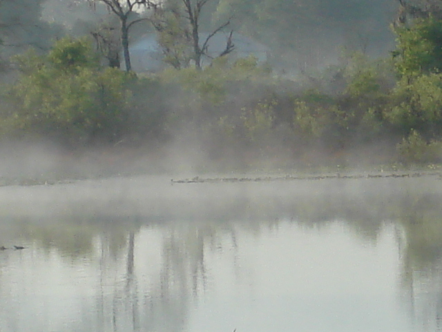 Mascotte, FL: DUKES LAKE MASCOTTE EARLY SPRING 730AM