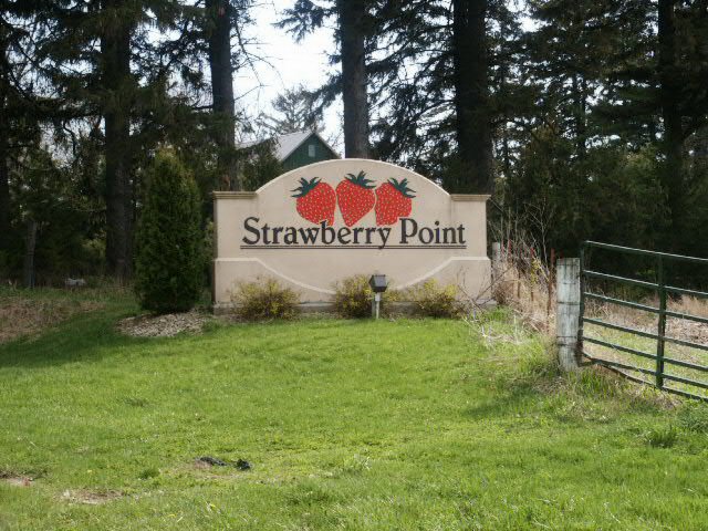 Strawberry Point, IA: Strawberry Point Welcome Sign