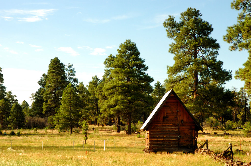Pagosa Springs, CO: Cabin along side of road in Pagosa Springs