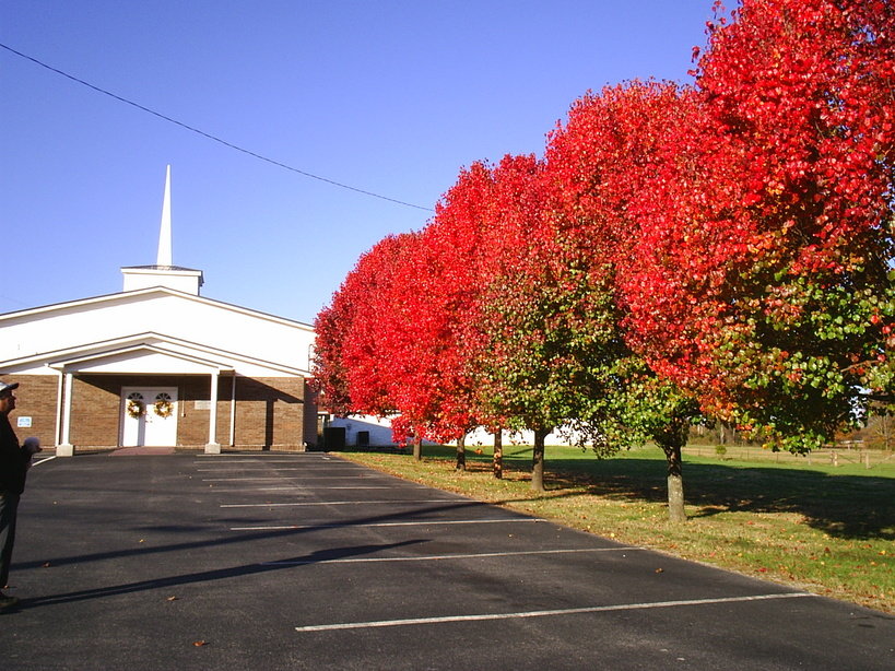 White Pine, TN: Beautiful Fall