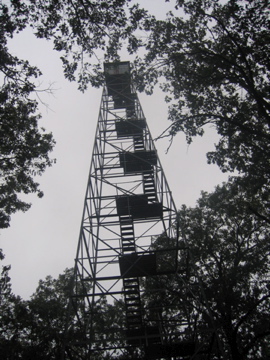 Salem, MO: The Fire Tower