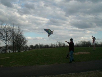 St. Ann, MO: St. Ann Flying kites