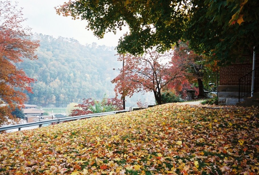 Pikeville, KY: The Autumn Leaves from Pikeville College