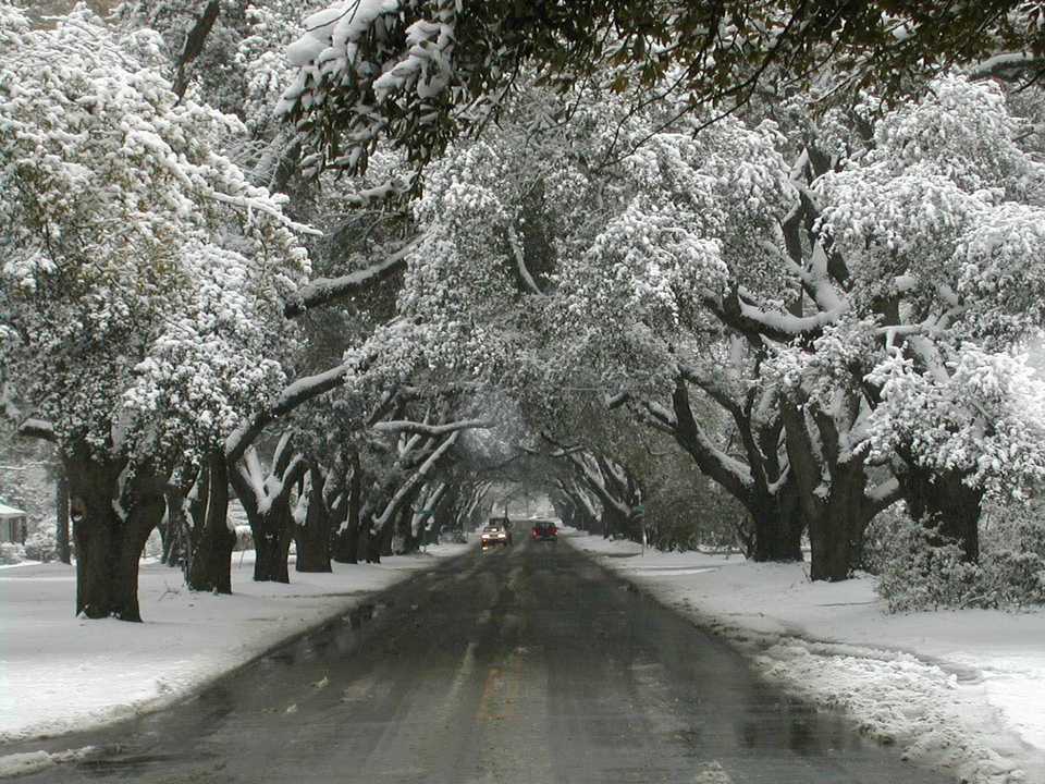 Aiken, SC: South Boundary Avenue in the snow