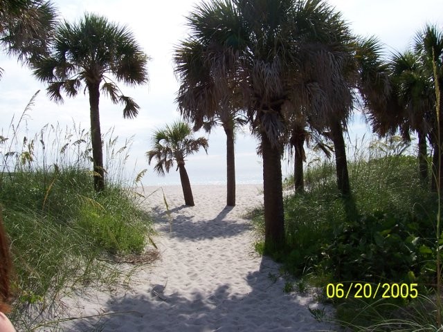 Venice, FL: walkway to beach