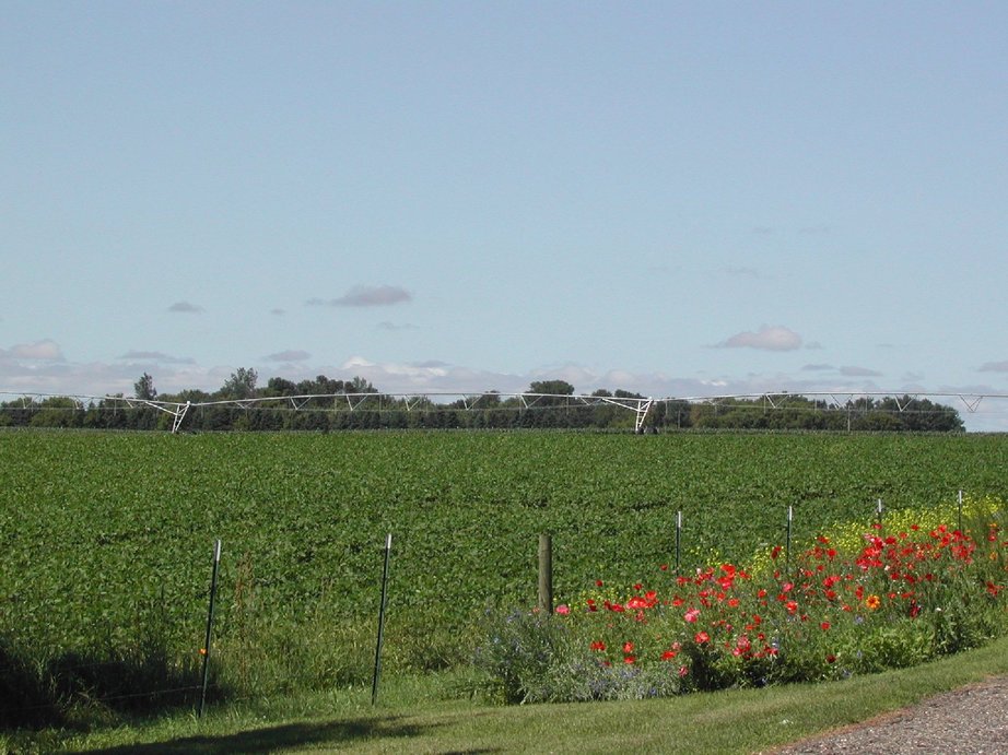 Brooten, MN Brooten City Limits Irrigation Country photo, picture