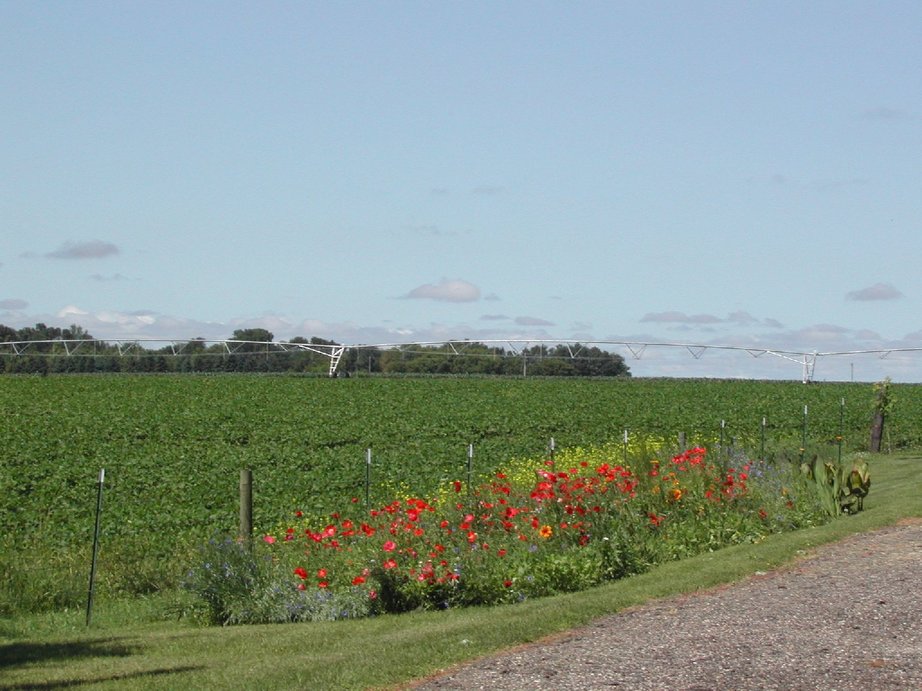 Brooten, MN Brooten City Limits Irrigation Country 2 photo, picture